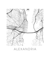 Charger l&#39;image dans la galerie, Affiche cartographique de Alexandria VA - Style Noir et Blanc
