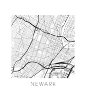 Load image into Gallery viewer, Newark Map Print
