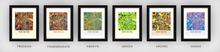 Load image into Gallery viewer, Fort Wayne Map Print - Full Color Map Poster
