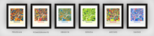 Load image into Gallery viewer, Knoxville Map Print - Full Color Map Poster
