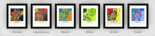 Load image into Gallery viewer, Santa Fe Map Print - Full Color Map Poster
