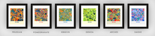 Load image into Gallery viewer, Irvine Map Print - Full Color Map Poster
