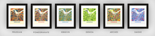 Load image into Gallery viewer, Louisville Map Print - Full Color Map Poster
