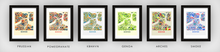 Load image into Gallery viewer, Boston Map Print - Full Color Map Poster

