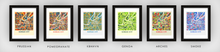 Load image into Gallery viewer, Kansas City Map Print - Full Color Map Poster
