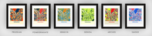 Load image into Gallery viewer, Grenoble Map Print - Full Color Map Poster
