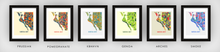 Load image into Gallery viewer, Siesta Key Map Print - Full Color Map Poster
