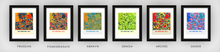 Load image into Gallery viewer, Richmond Hill Ontario Map Print - Full Color Map Poster
