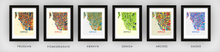 Load image into Gallery viewer, Buffalo Map Print - Full Color Map Poster
