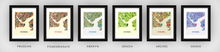 Load image into Gallery viewer, Istanbul Map Print - Full Color Map Poster
