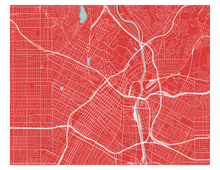 Load image into Gallery viewer, Los Angeles Map Print - Any Color You Like
