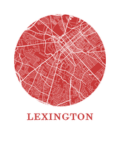 Load image into Gallery viewer, Lexington Map Print - City Map Poster
